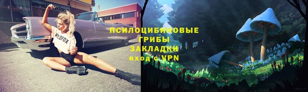 a pvp Алексин