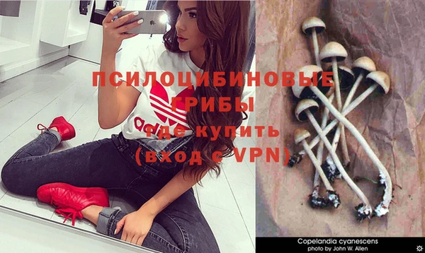 герыч Алзамай