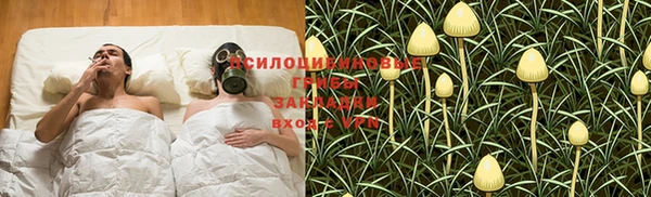 a pvp Алексин