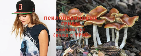 гидропоника Осинники