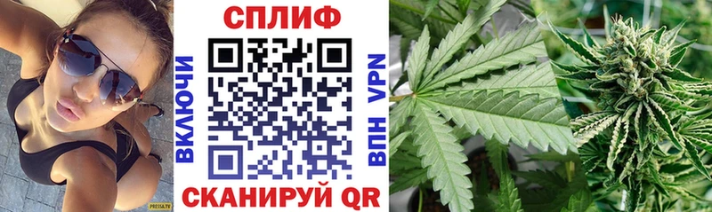 Каннабис сатива Кемерово