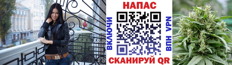купить наркоту  kraken сайт  Каннабис SATIVA & INDICA  Кемерово 